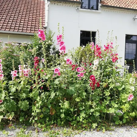 Semesterbostad Murmure De Tilleul Alembon